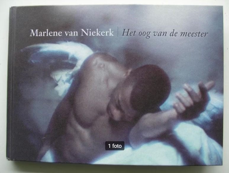 Het oog van de meester - Marlene van Niekerk, Boeken, Ophalen of Verzenden, Zo goed als nieuw, Wereld overig