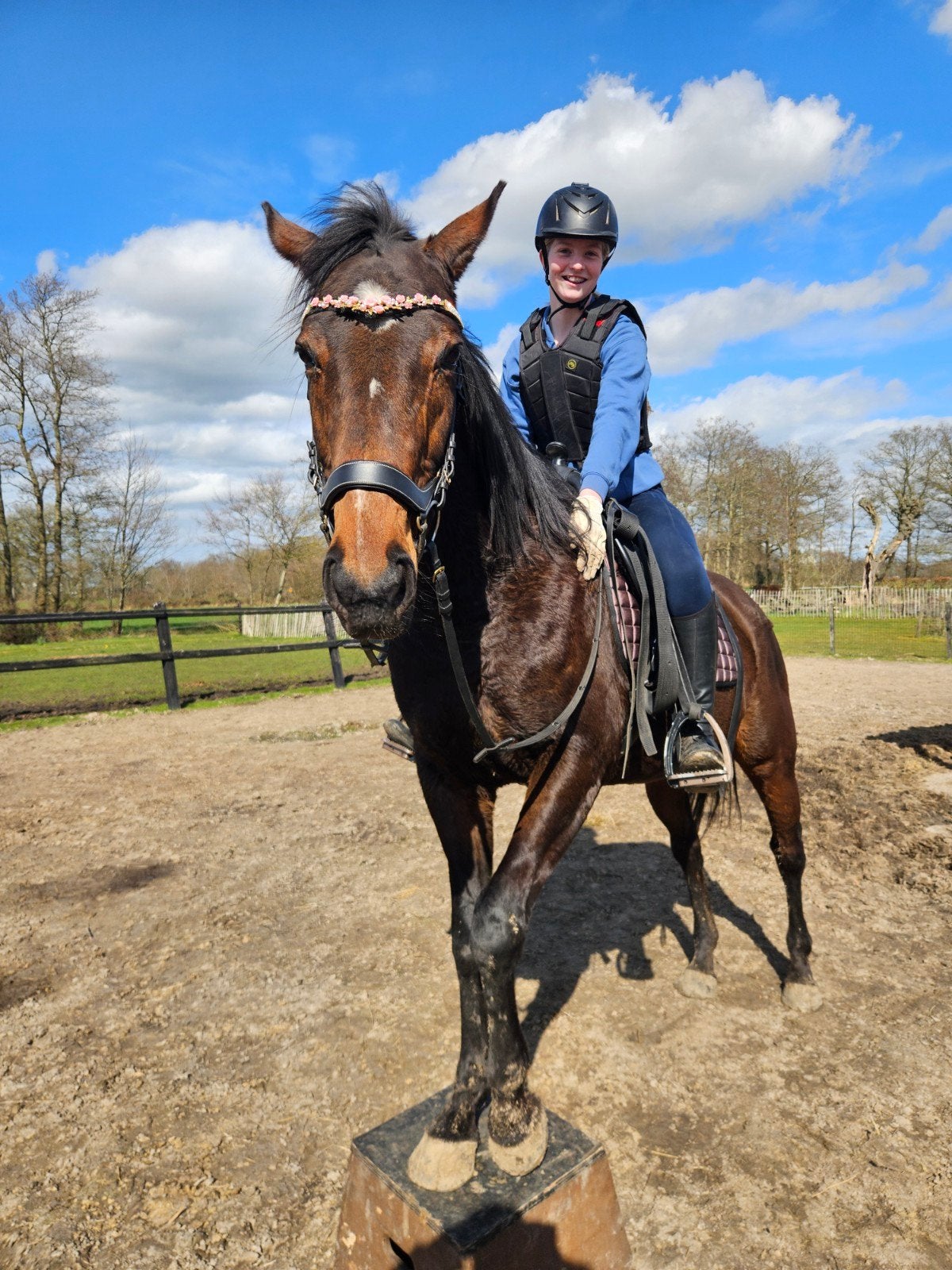 Engels volbloed merrie, Dieren en Toebehoren, Paarden, Minder dan 160 cm, 11 jaar of ouder, Recreatiepaard, Merrie