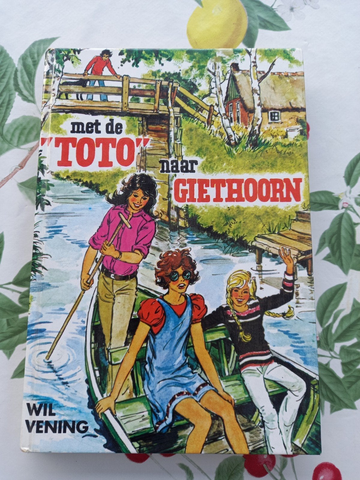 B Met de Toto naar Giethoorn - Wil Vening, Boeken, Ophalen of Verzenden, Gelezen, Wil Vening, Fictie algemeen