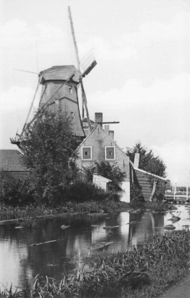 Overschie (bij Rotterdam) molen De Nieuwe Werklust, Ophalen of Verzenden, 1960 tot 1980, Ongelopen, Zuid-Holland