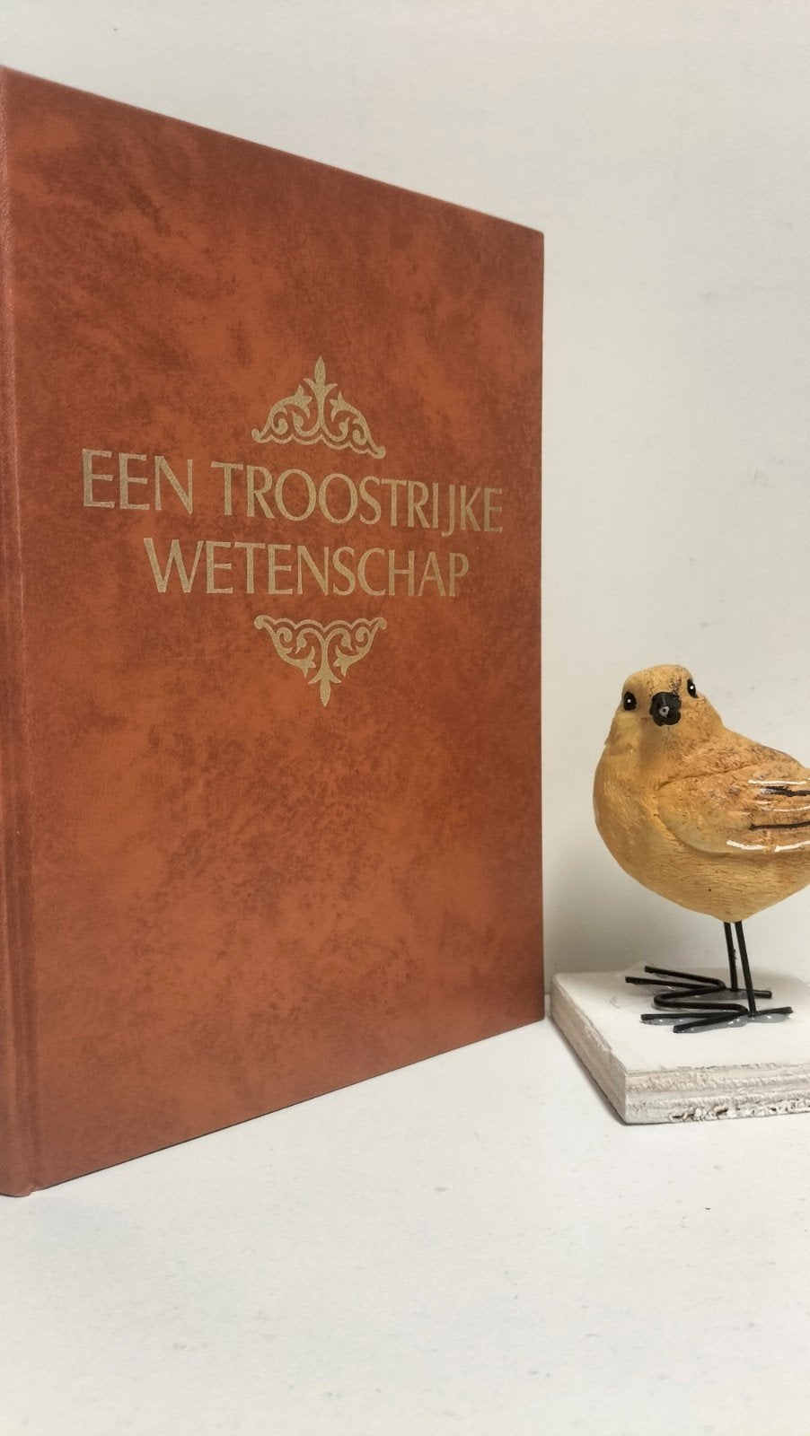 Dam, Ds. Chr. Van; Een troostrijke wetenschap, Boeken, Ophalen of Verzenden, Gelezen, Christendom | Protestants
