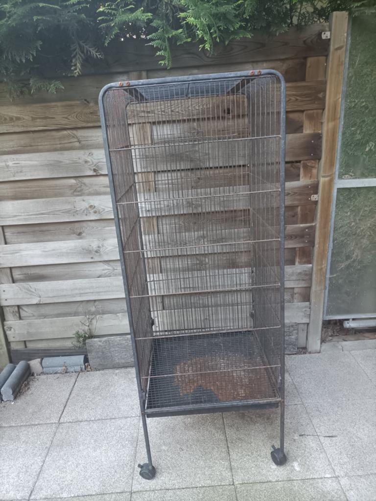 Zwarte vogelkooi, Ophalen, Gebruikt, Metaal, Vogelkooi