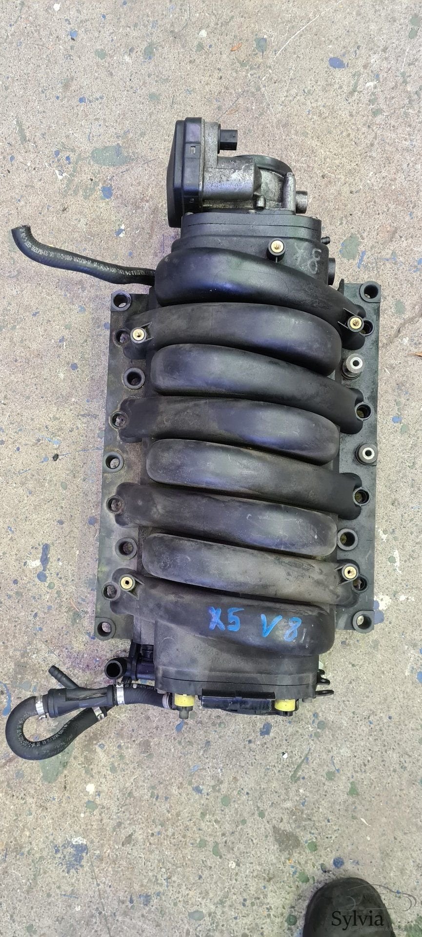 Inlaatspruitstuk Voor BMW M62 1435361, Gebruikt, -, -, Ophalen of Verzenden