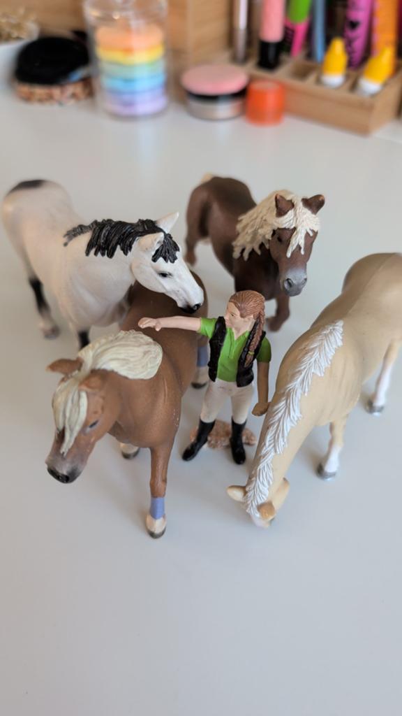 Schleich paarden en ruiter speelset, Ophalen of Verzenden, Gebruikt