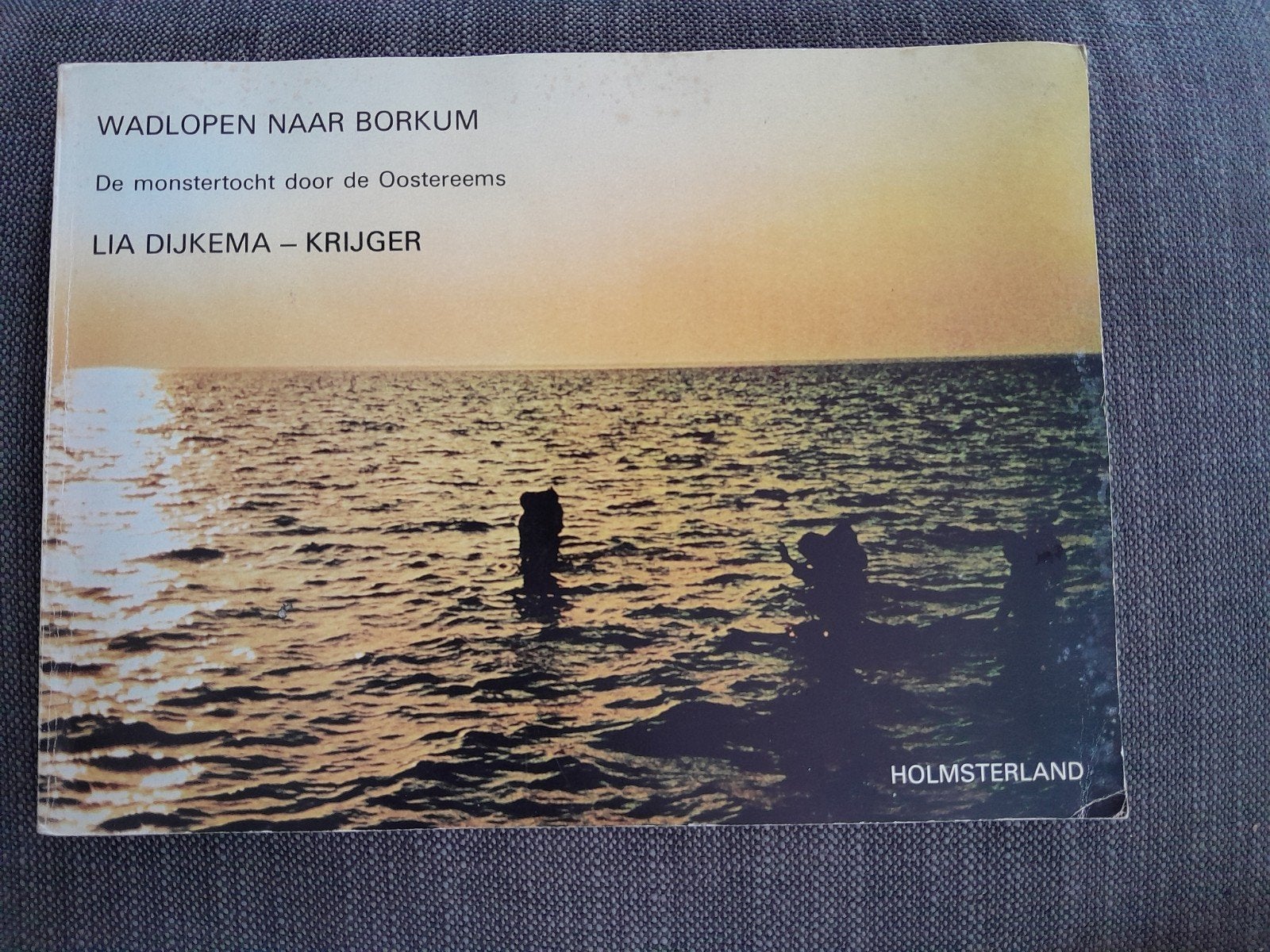Wadlopen naar Borkum, Ophalen of Verzenden