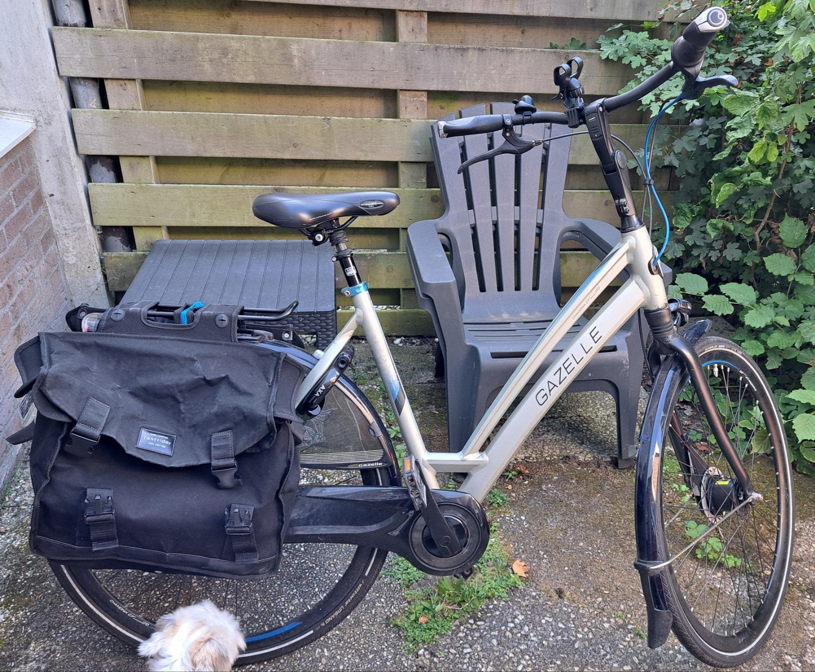 Gazelle Chamonix C7 LTD. Nette Damesfiets €500 vaste prijs., Ophalen, Gazelle