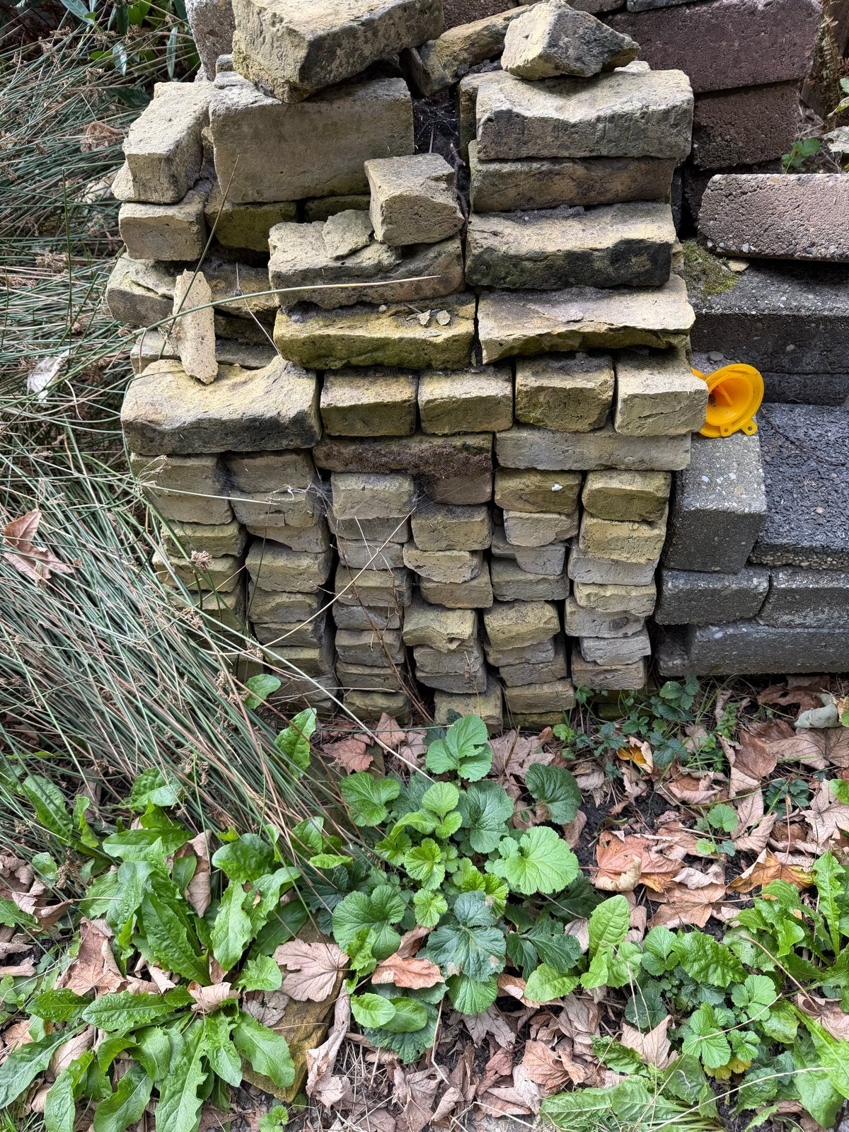 Boeren geeltjes, Ophalen, Gebruikt, Beton, Klinkers