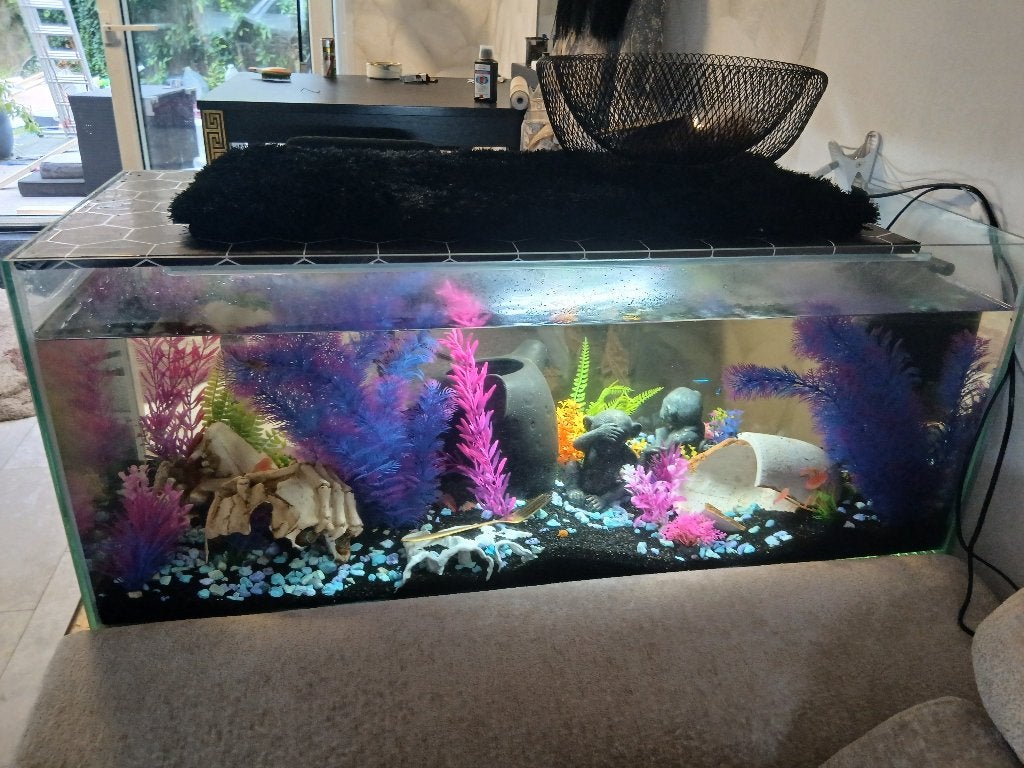 aquarium met toebehoren, Ophalen, Verwarming, Zo goed als nieuw, Overige typen
