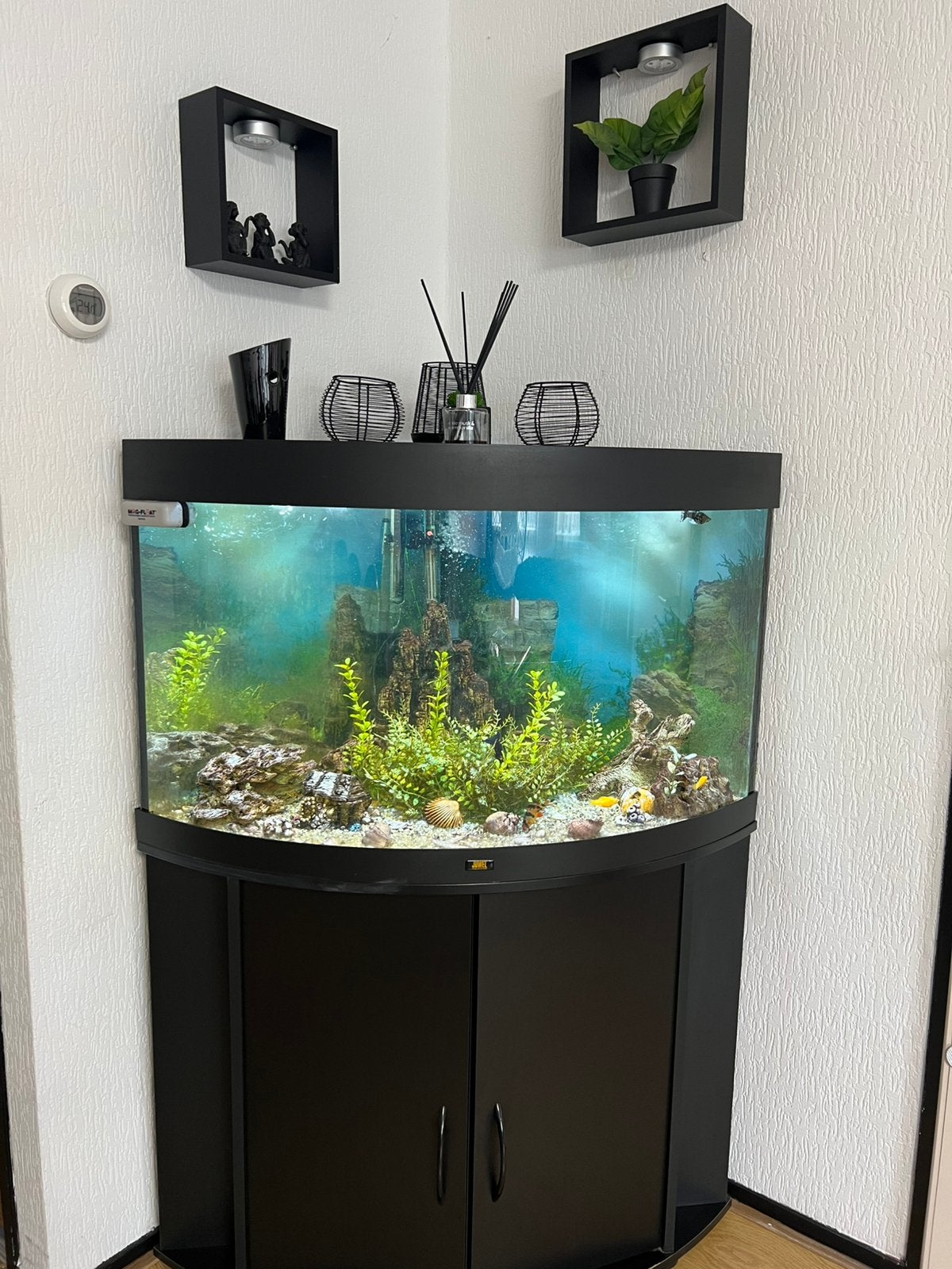 Hoek Aquarium te koop – Compleet met alle toebehoren, Dieren en Toebehoren, Vissen | Aquaria en Toebehoren, Ophalen, Zo goed als nieuw