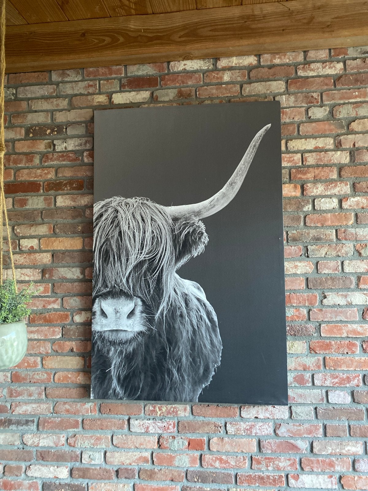 Schilderij Schotse Hooglander Zwart-Wit, Gebruikt, Ophalen of Verzenden, Schilderij, 75 tot 100 cm