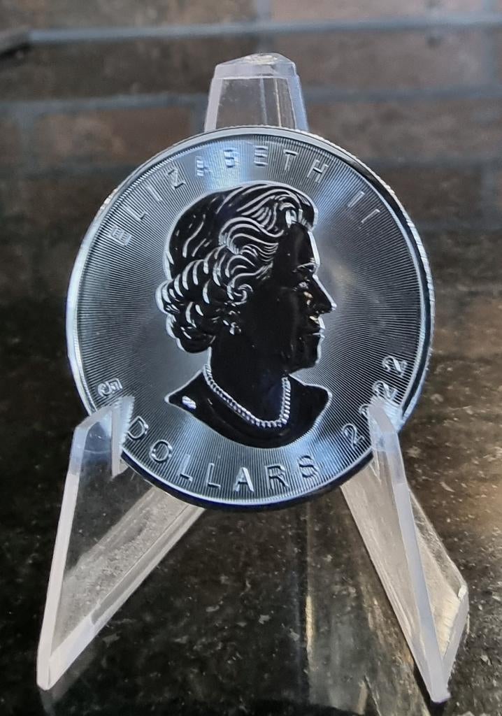 Maple Leaf 1 oz .9999 zilver, Ophalen of Verzenden, Zilver
