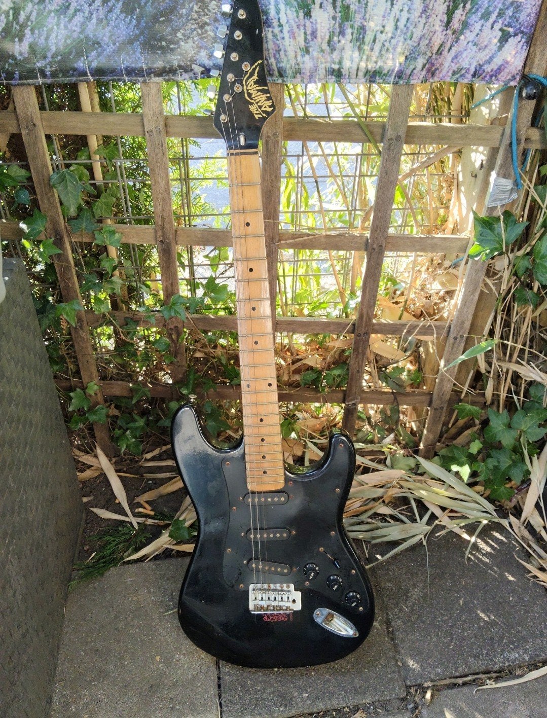 Vintage Animal Stratocaster Guitar, Muziek en Instrumenten, Snaarinstrumenten | Gitaren | Elektrisch, Ophalen of Verzenden, Solid body