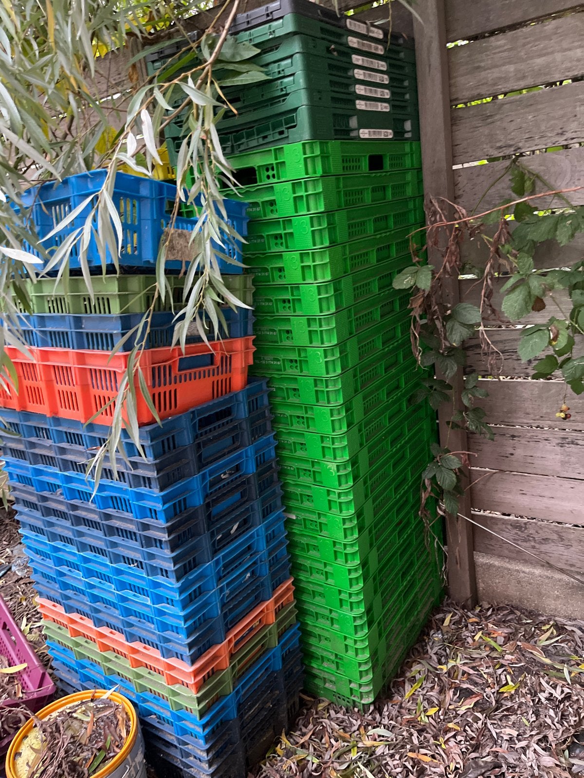 Diverse stapelbare kratten - Ideaal voor opslag en transport, Ophalen, Gebruikt, 40 tot 60 cm, 50 tot 75 cm