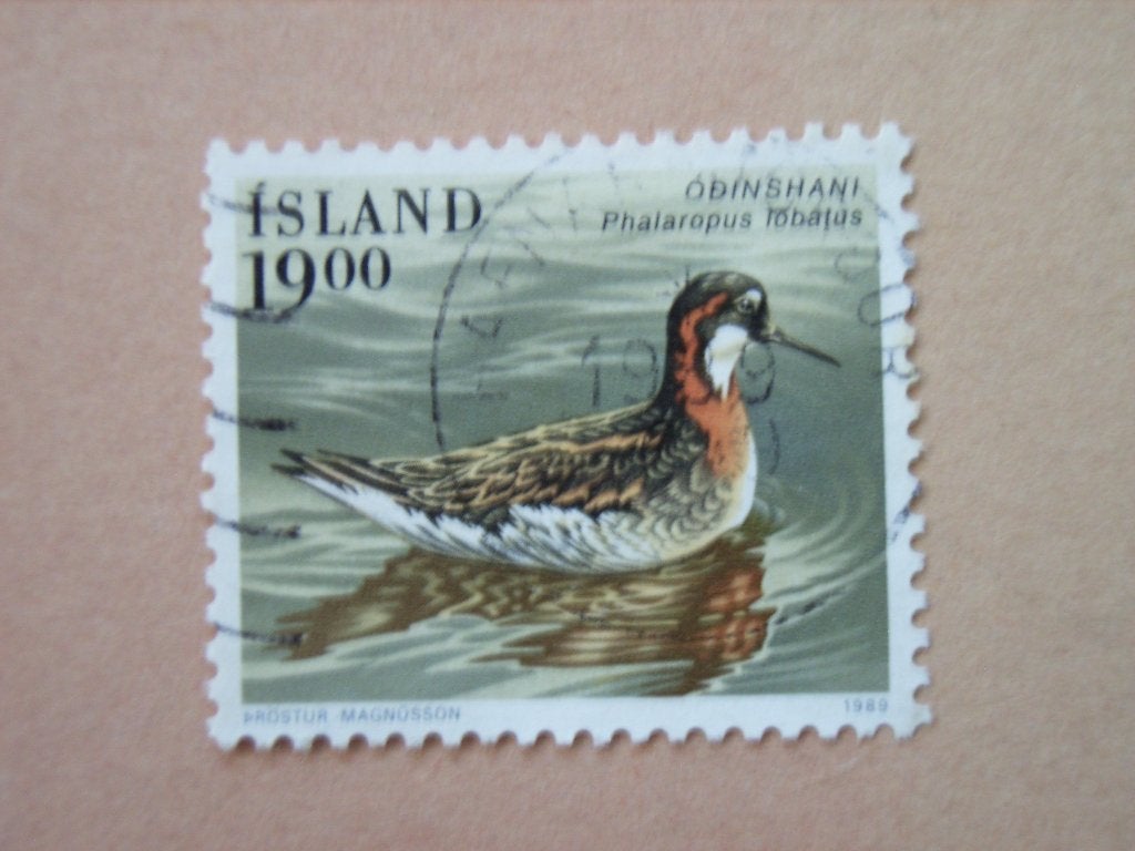 KZ  IJsland 697, Postzegels en Munten, Ophalen of Verzenden, IJsland, Gestempeld