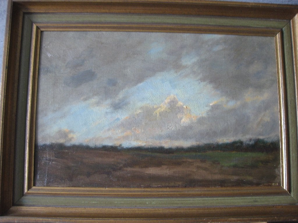 Olieverfschilderij op doek van natuur, Gebruikt, Ophalen of Verzenden, Schilderij, 5 – 50