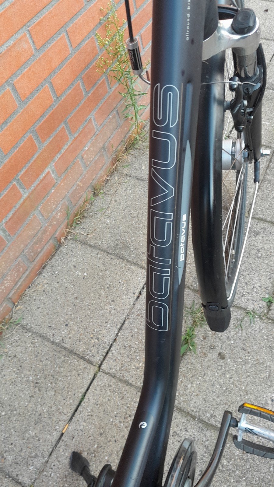t.k in z.g.st hoge batavus damesfiets 7 versnellingen, Ophalen, Versnellingen, Batavus, 56 cm of meer