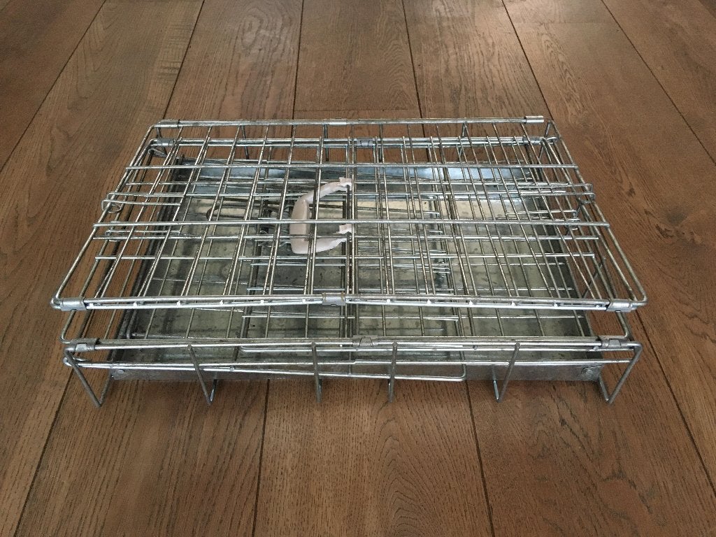 hondenbench, Dieren en Toebehoren, Ophalen, Gebruikt