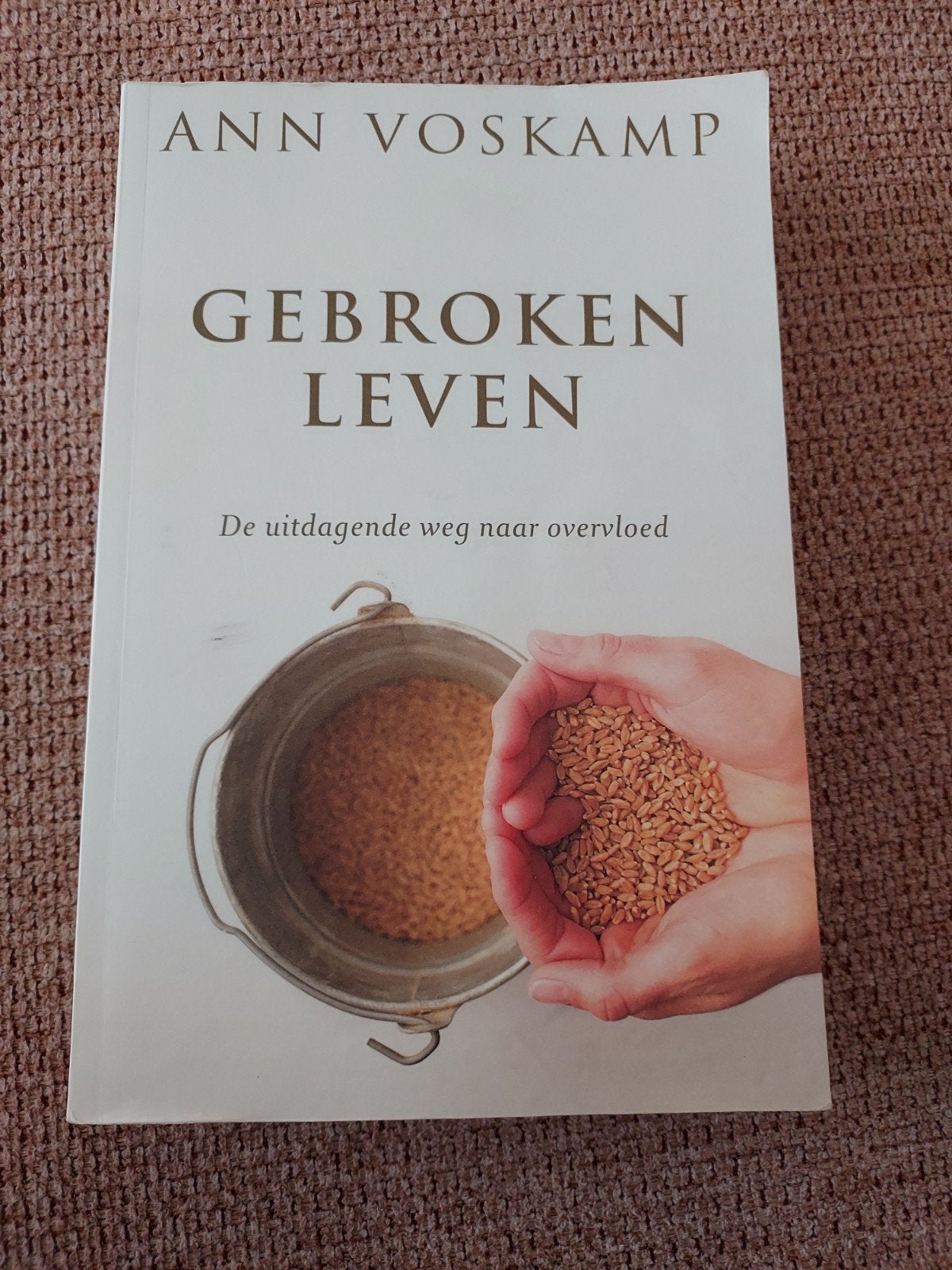 Ann Voskamp - Gebroken leven, bepaalde alinea's gearceerd, Boeken, Ophalen, Gelezen, Ann Voskamp
