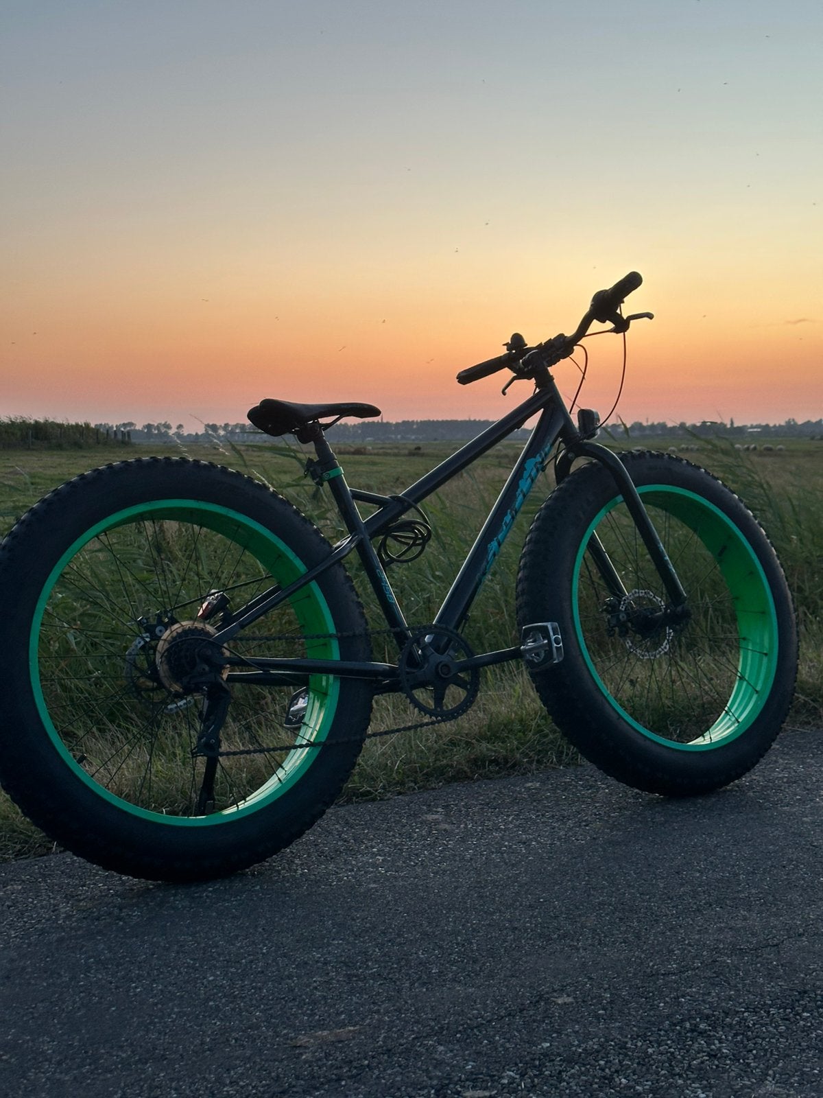 sks velo 42 urban schutzblech set Schutzblech-Set 700c / 42mm schwarz creality It is suitable for Choose Number of Plugs + Feet of Cable:20 plugs / 20ft cable Peter Sagan im Brillen-Fieber: