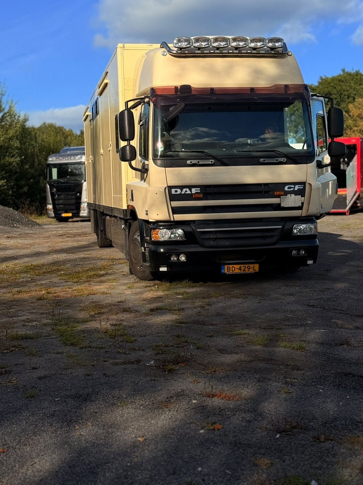 DAF CF Paardenwagen, Auto's, Particulier, Te koop