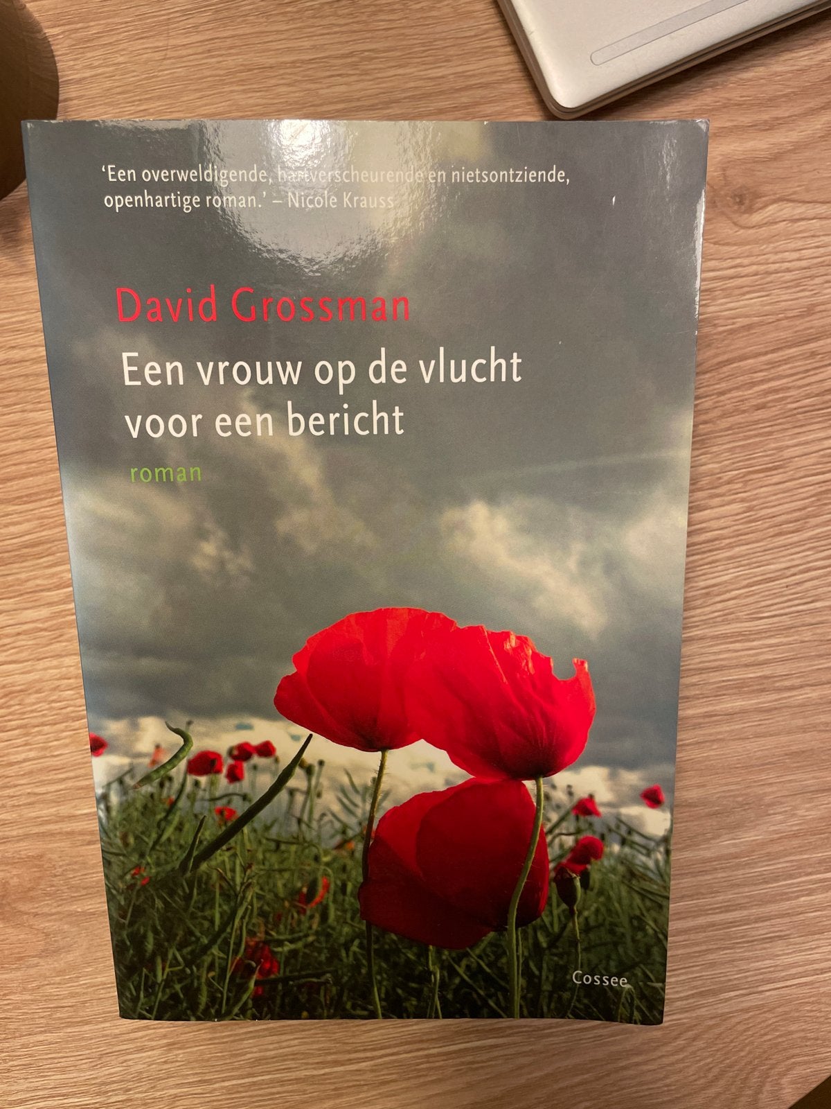 David Grossman - Een vrouw op de vlucht voor een bericht, Boeken, Ophalen of Verzenden, Zo goed als nieuw, Nederland