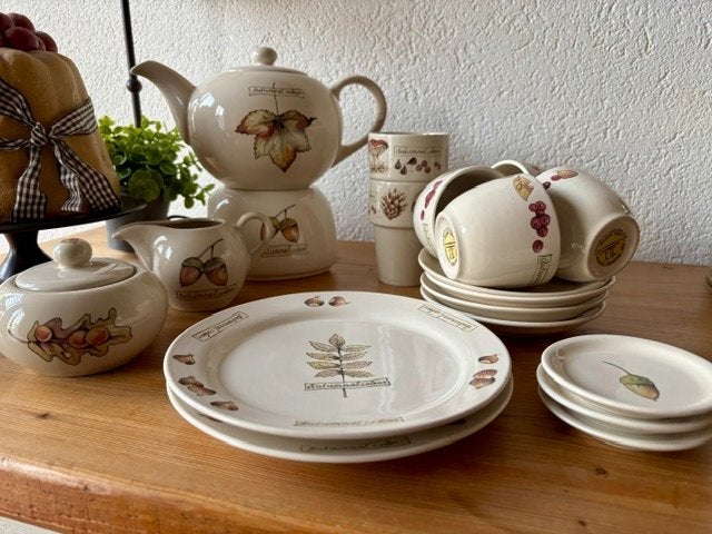 Servies Jet ter Steege herfst, Ophalen, Overige typen, Zo goed als nieuw, Overige stijlen