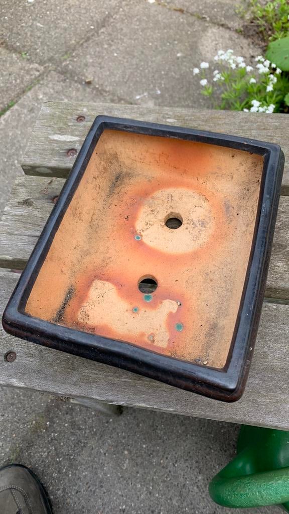 Bonsai schaal, Rond, Ophalen of Verzenden, Zo goed als nieuw, Aardewerk