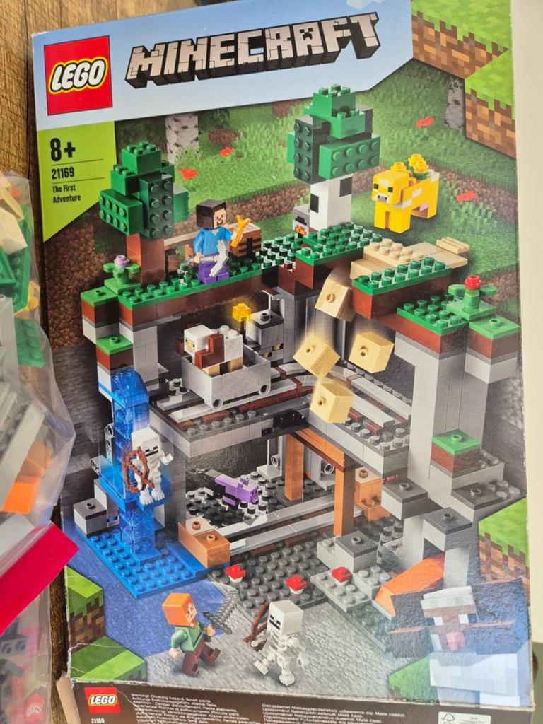 LEGO Minecraft 21169 Het Eerste Avontuur - Complete set, Minecraft, Lego, Ophalen of Verzenden, Zo goed als nieuw