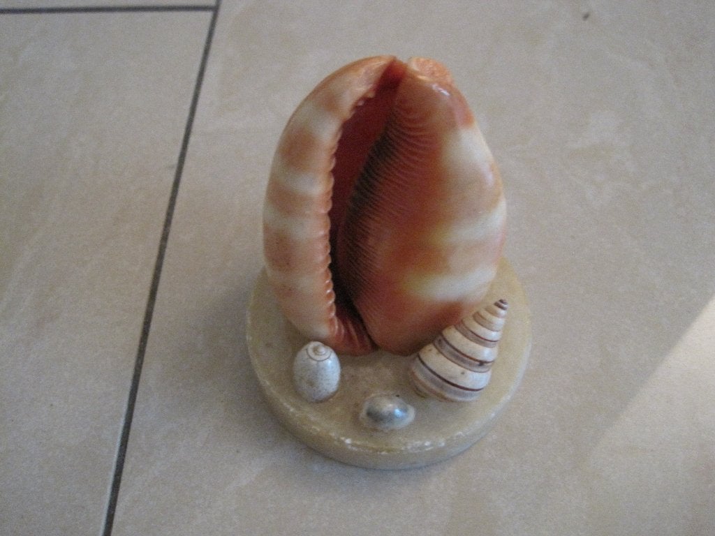 Marmeren ondergrond met 1 grote schelp + 3 kleintjes, Huis en Inrichting, Woonaccessoires | Kransen, Ophalen