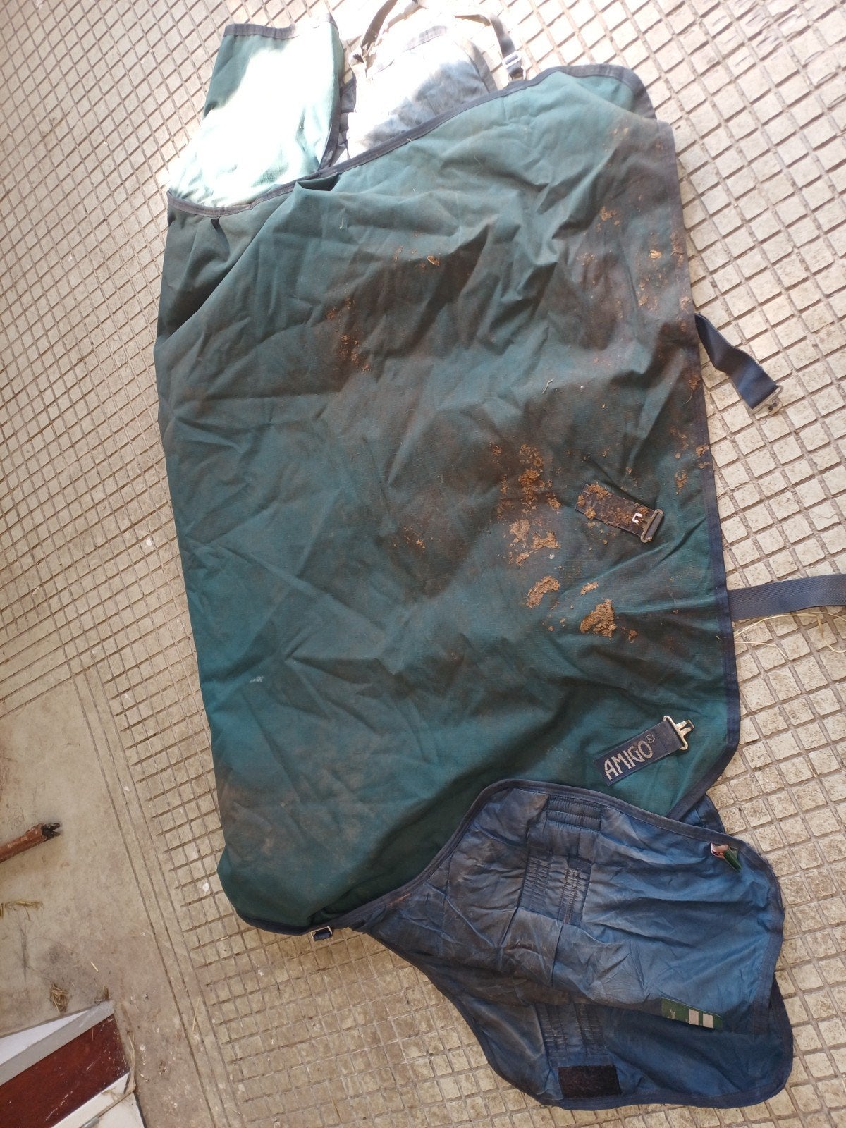 Amigo winterdeken, Dieren en Toebehoren, Ophalen of Verzenden
