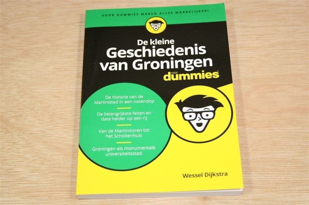 Groningen voor Dummies — Kleine Geschiedenis van de Stad, Ophalen of Verzenden, Zo goed als nieuw