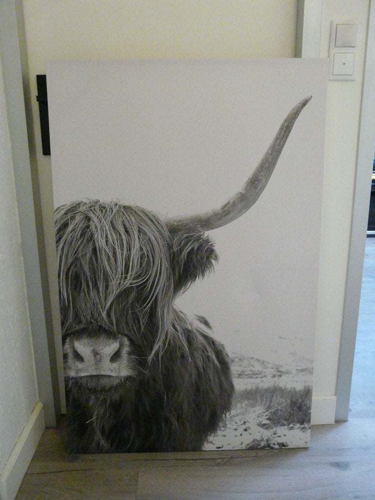 MOOIE CANVAS PRINT VANSCHOTSE HIGH-LANDER., Ophalen, Rechthoekig Staand, Zo goed als nieuw, Canvas of Doek