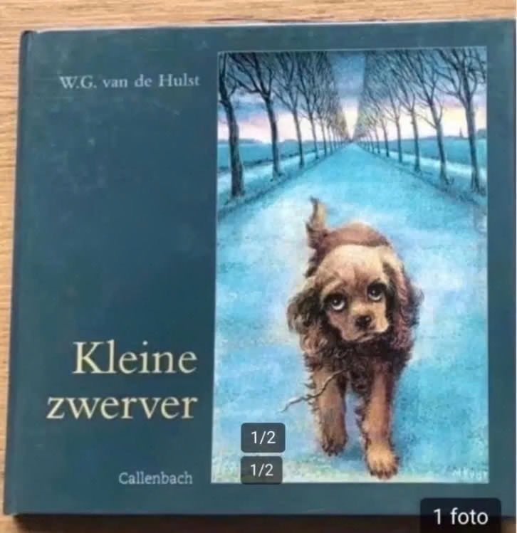 Kleine zwerver door W.G.van de Hulst, Boeken, Ophalen of Verzenden, Gelezen, Fictie algemeen