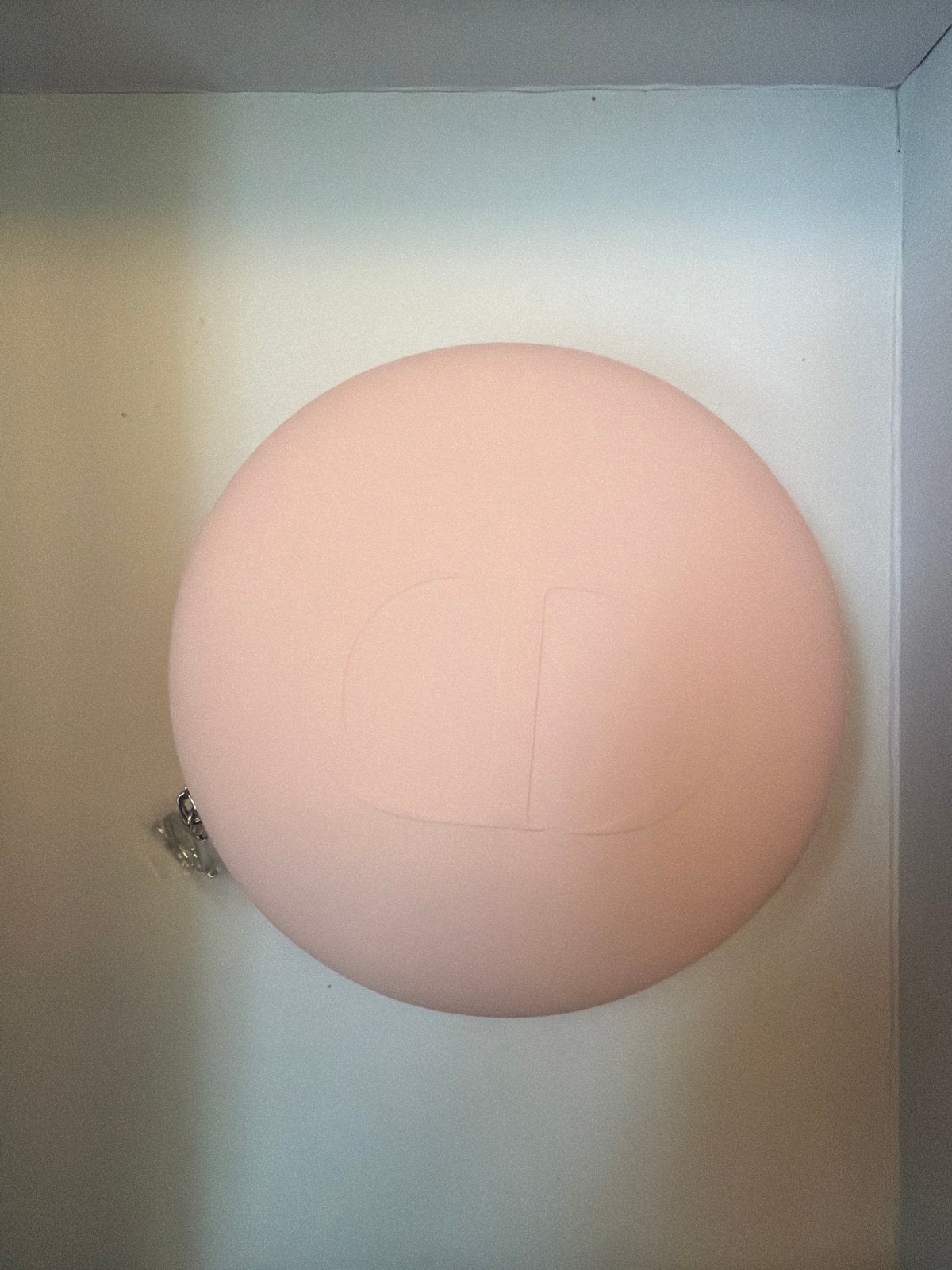 Dior Pouch - Roze, Ophalen, Zo goed als nieuw, Roze, Avondtasje