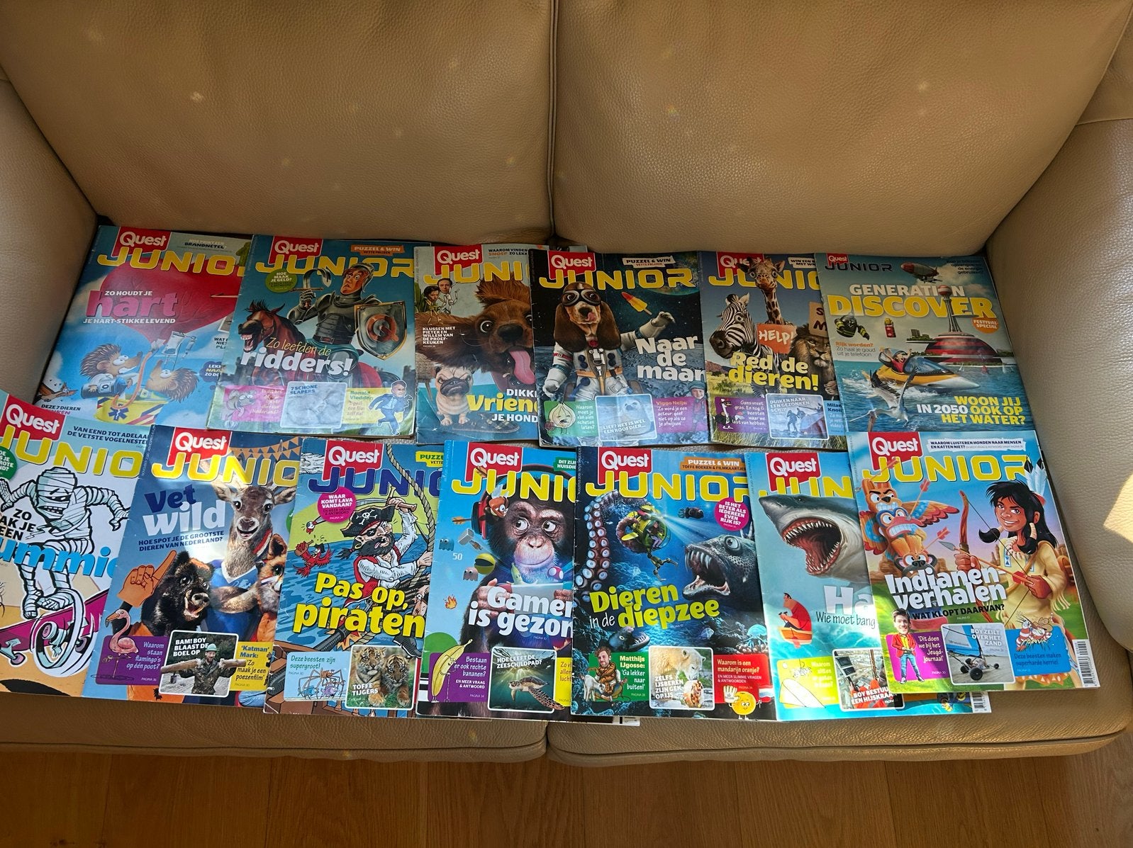 Quest Junior Tijdschriften Collectie - 13 Stuks, Boeken, Ophalen of Verzenden, Gelezen, Wetenschap en Natuur