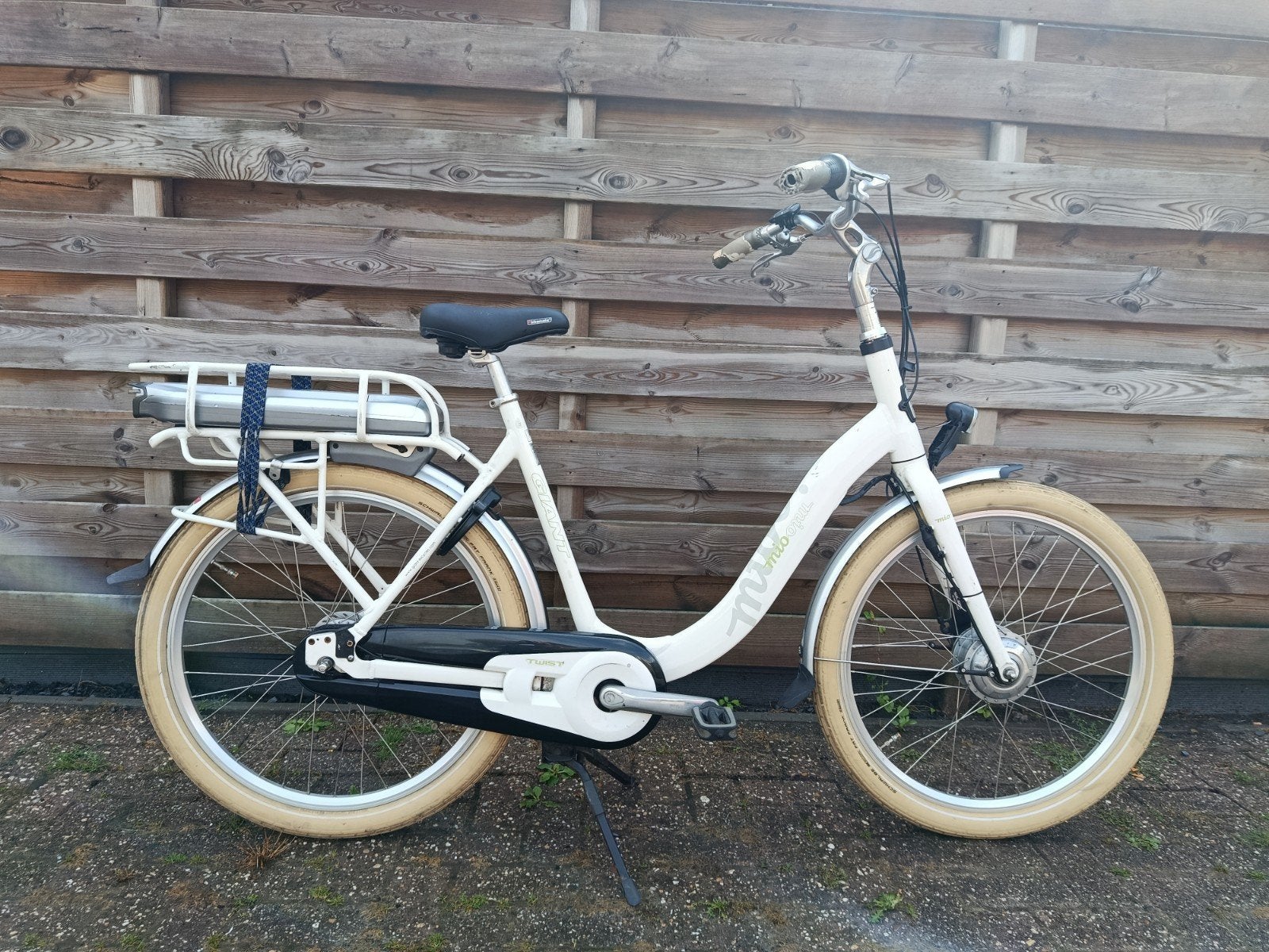 elektrische fiets giant moederfiets, Fietsen en Brommers, Elektrische fietsen, Ophalen, Gebruikt, Giant, 51 tot 55 cm