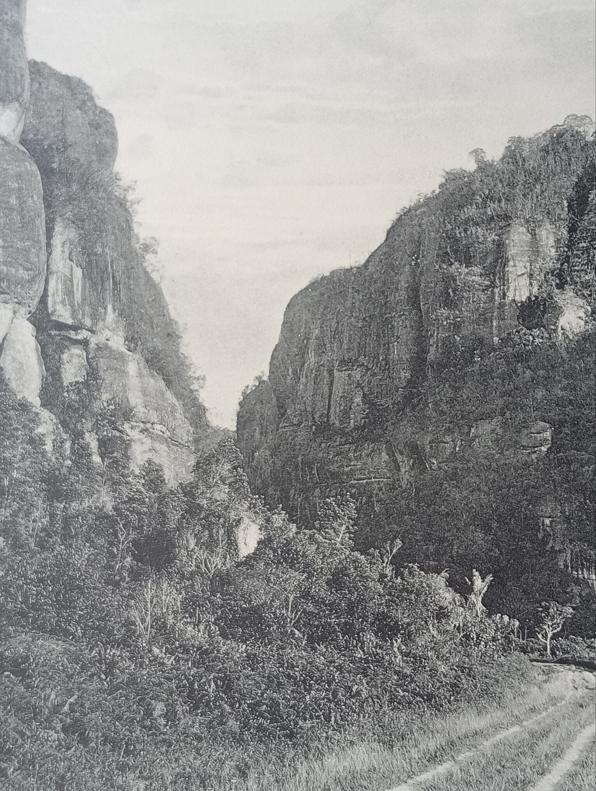 Foto gravure Nederlands Indië Indonesië Indonesia 1910, Ophalen of Verzenden, Gelezen, Overige onderwerpen