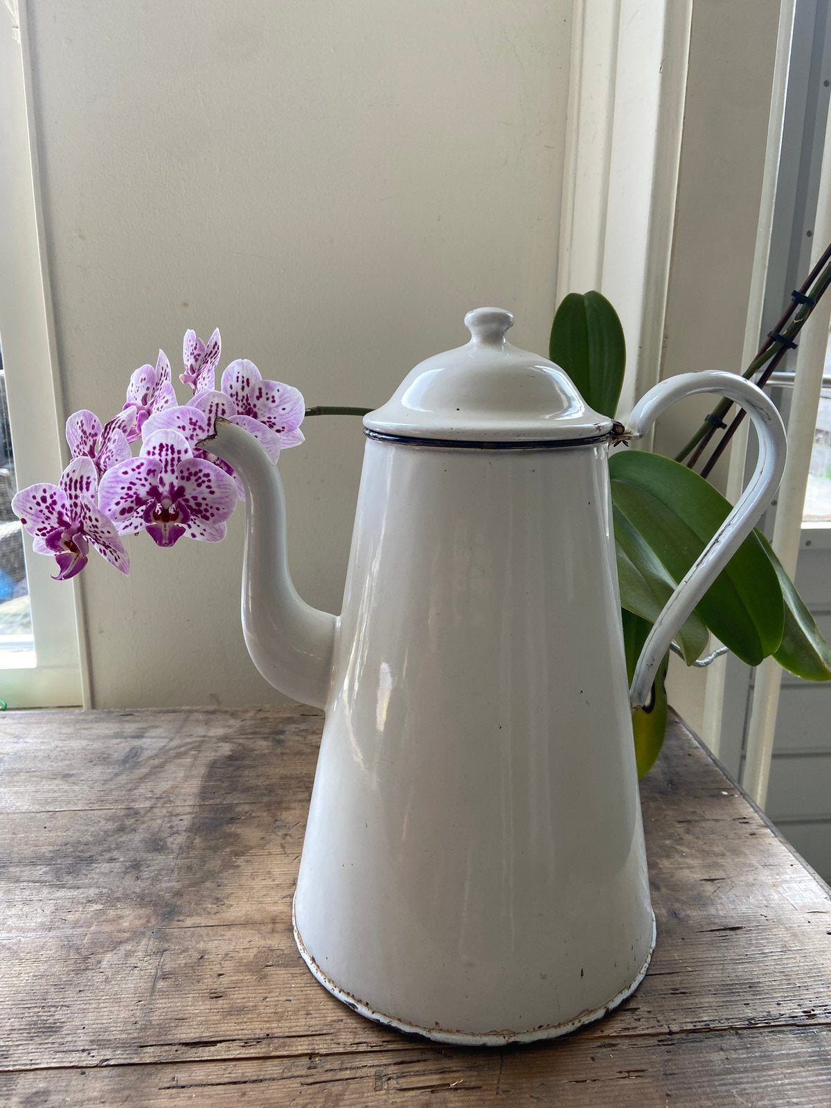 Grote koffiepot/ plantengieter., Ophalen of Verzenden