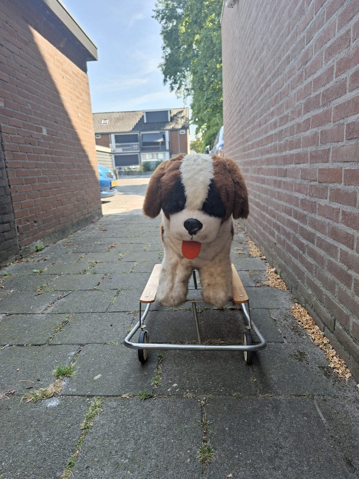 hobbel hond waar je ook mee kunt rijden, Ophalen
