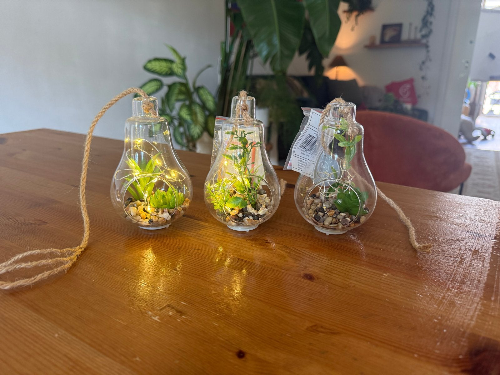 3 Decoratieve nepplantjes in glas met LED en ophangtouw, Meerkleurig, Nieuw, Ophalen of Verzenden, Modern