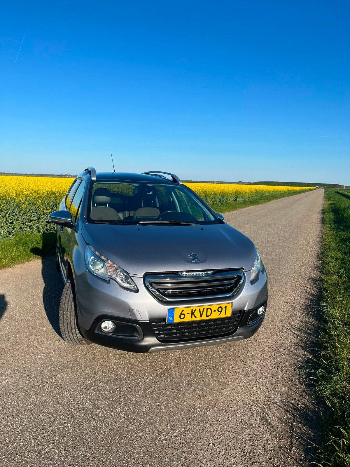 Peugeot 2008 1.6 VTI 88KW/120PK 2013 Grijs, Voorwielaandrijving, 4 cilinders, 1270 kg, 1055 kg