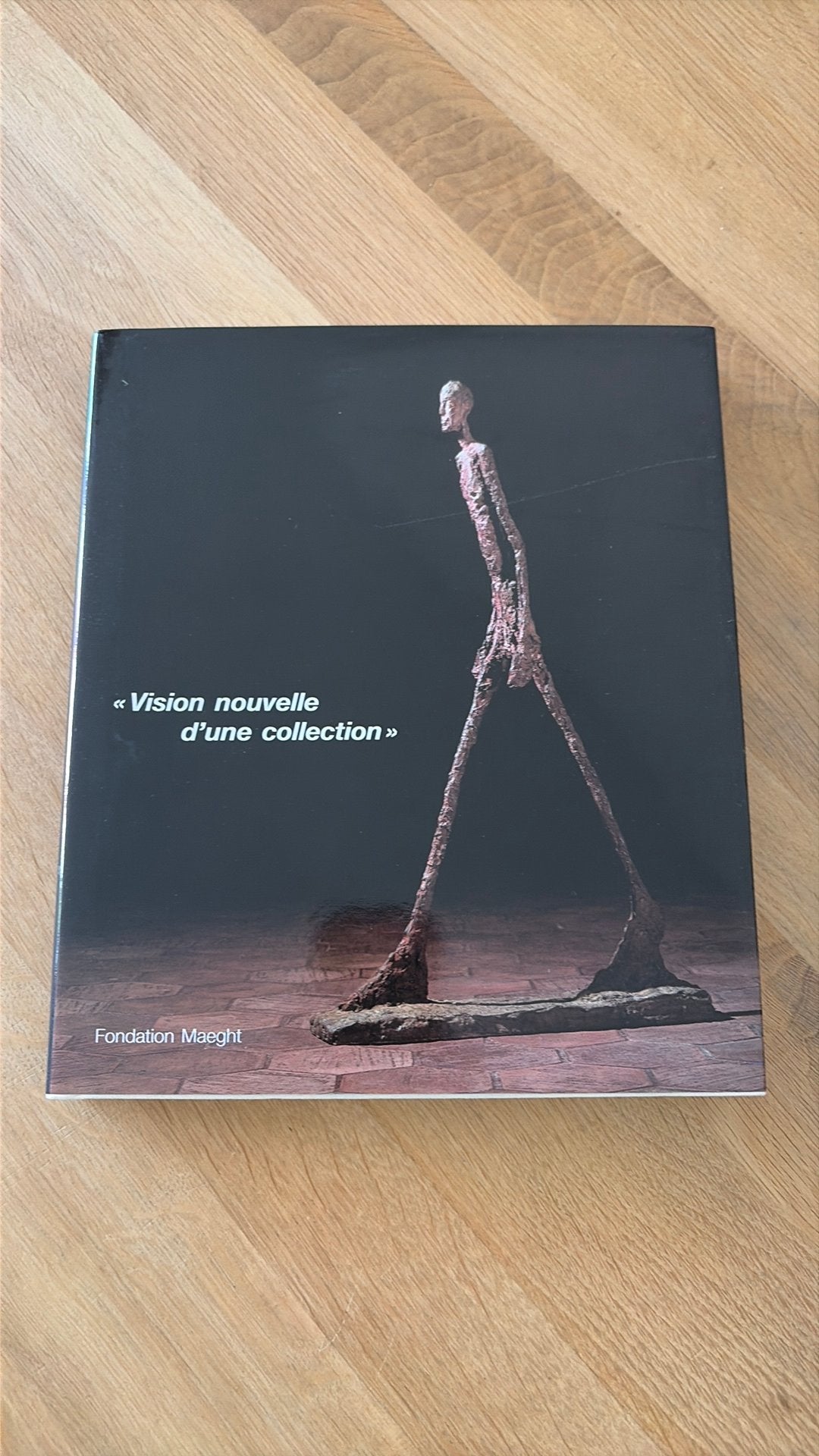 << Vision Nouvelle d’une collection >> Fondation Maeght, Ophalen of Verzenden, Gelezen, Schilder- en Tekenkunst