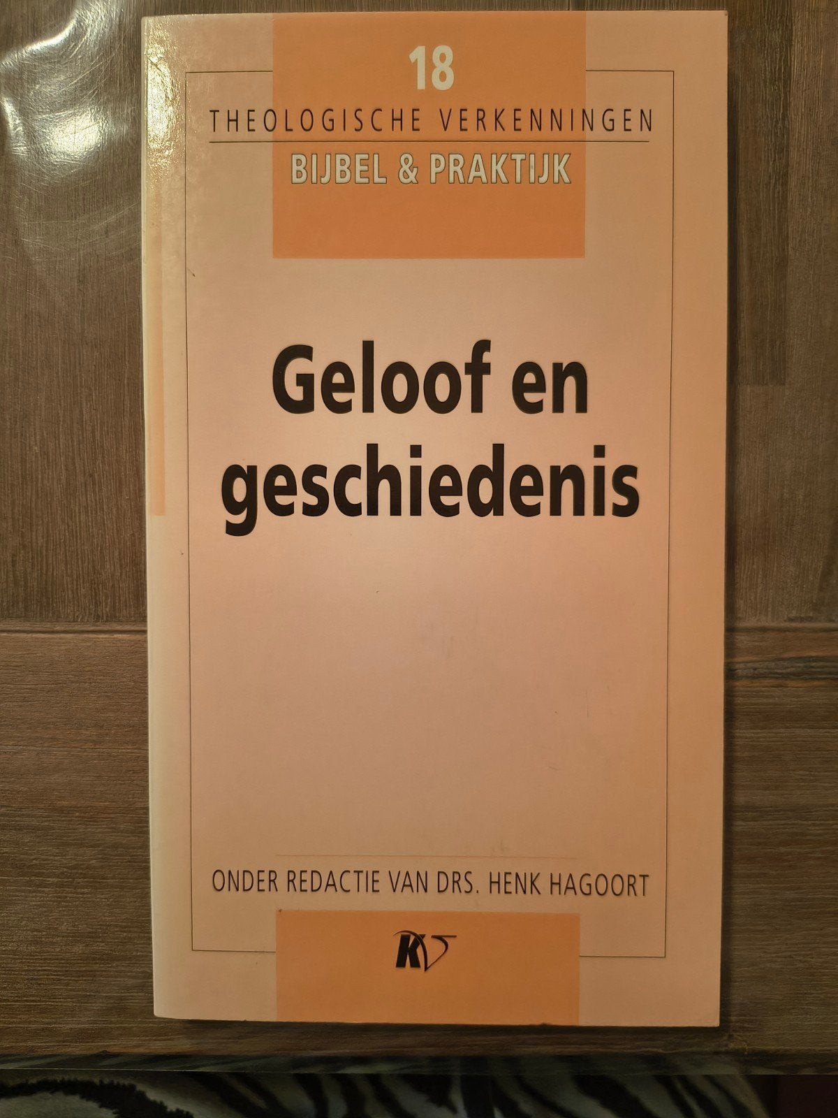 Geloof en geschiedenis, H Hagoort, Ophalen of Verzenden, Gelezen, Hagoort