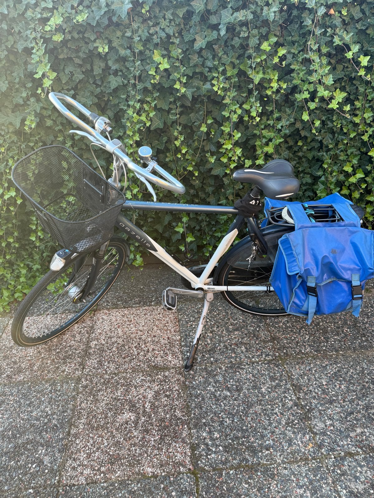 Nette Gazelle Montreux Ltd fiets met gratis fietstassen, Fietsen en Brommers, Ophalen of Verzenden, Zo goed als nieuw, Gazelle