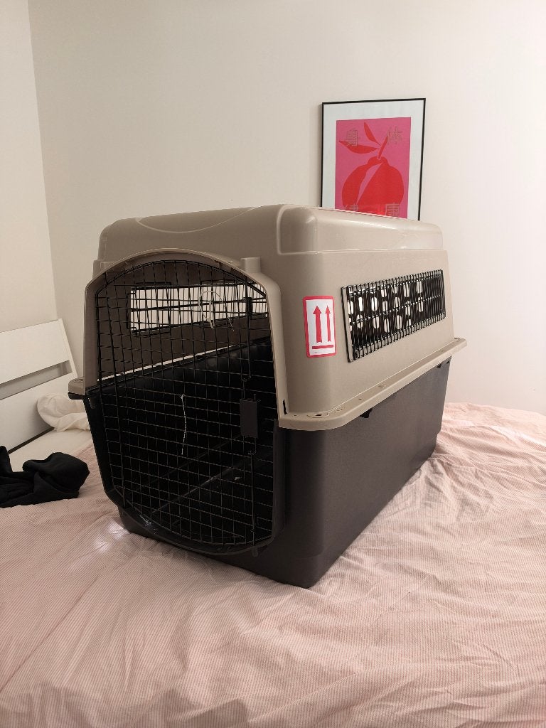 Dog Crate XXL / hondenbenches, Ophalen, Gebruikt