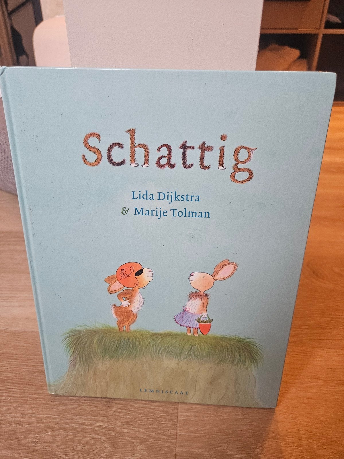Schatting - Lida Dijkstra & Marije Tolman, Fictie algemeen, Jongen of Meisje, Ophalen of Verzenden, Zo goed als nieuw