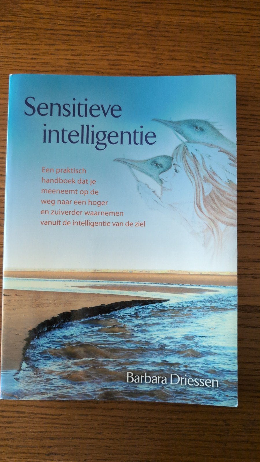 Sensitieve intelligentie - Barbara Driessen, Boeken, Spiritualiteit algemeen, Ophalen of Verzenden, Zo goed als nieuw, Instructieboek