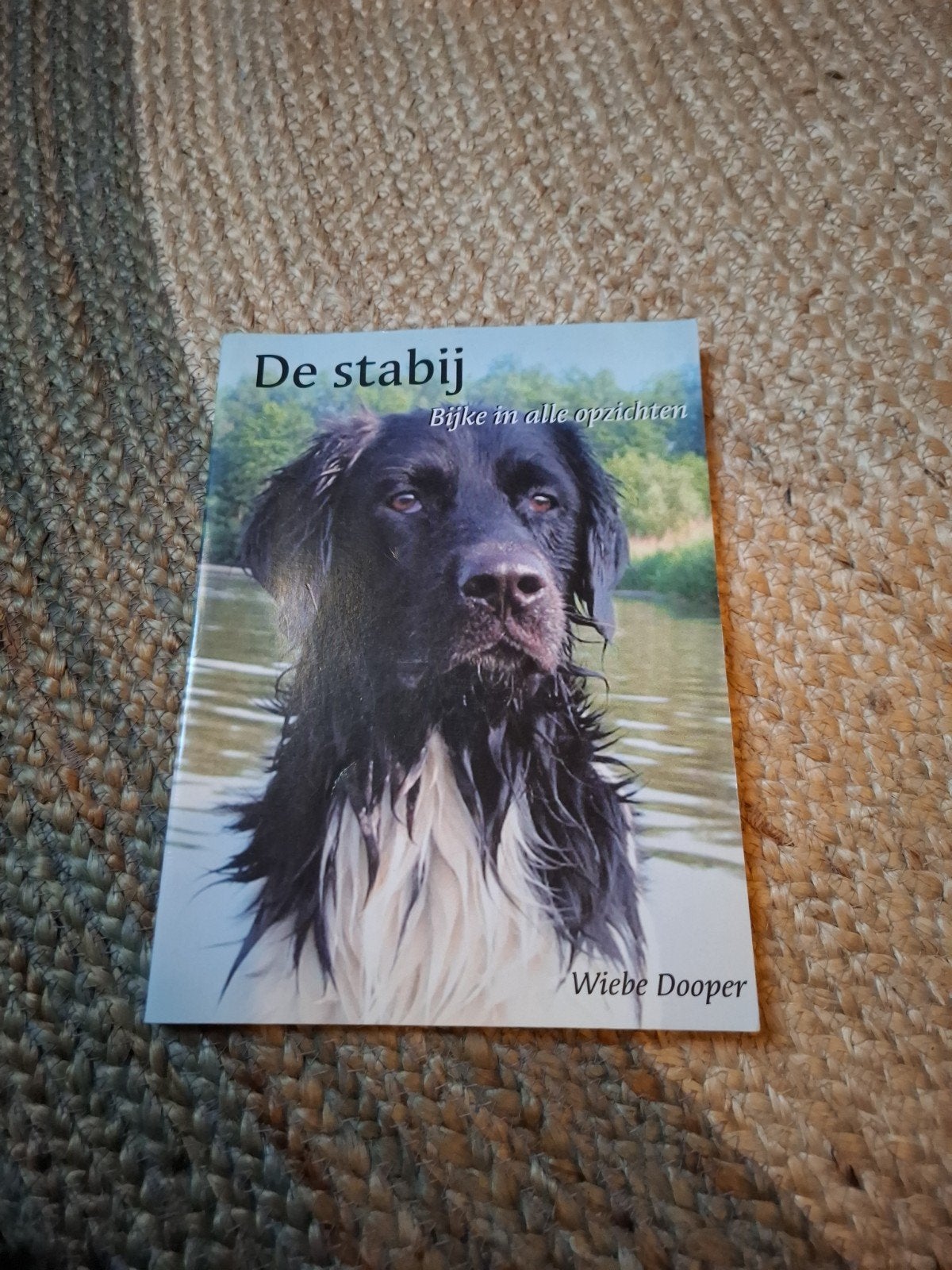 De stabij: Bijke in alle opzichten - Wiebe Dooper, Ophalen of Verzenden