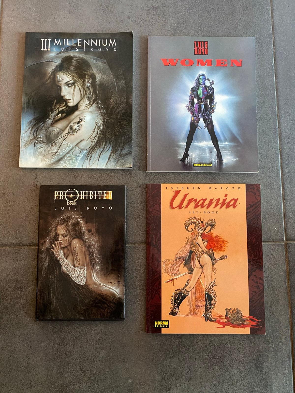 Luis Royo Prohibited 1 & Esteban Maroto Art Boeken Collectie, Ophalen of Verzenden, Zo goed als nieuw