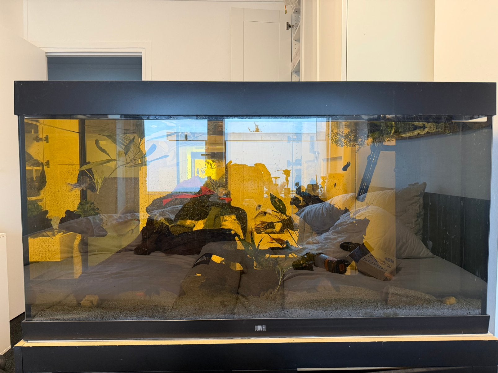 Juwel aquarium Compleet, Dieren en Toebehoren, Ophalen, Gebruikt, Gevuld zoetwateraquarium, Inclusief vissen